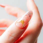 スペシャリスト養成コース